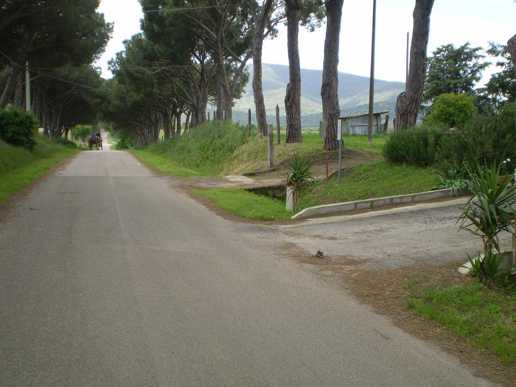 Agriturismo Ternova Alberese Exterior foto